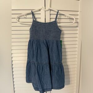 Toddler Girl Chambray Dress